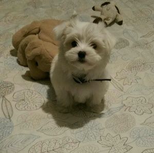 Meet your Posher, Yolanda